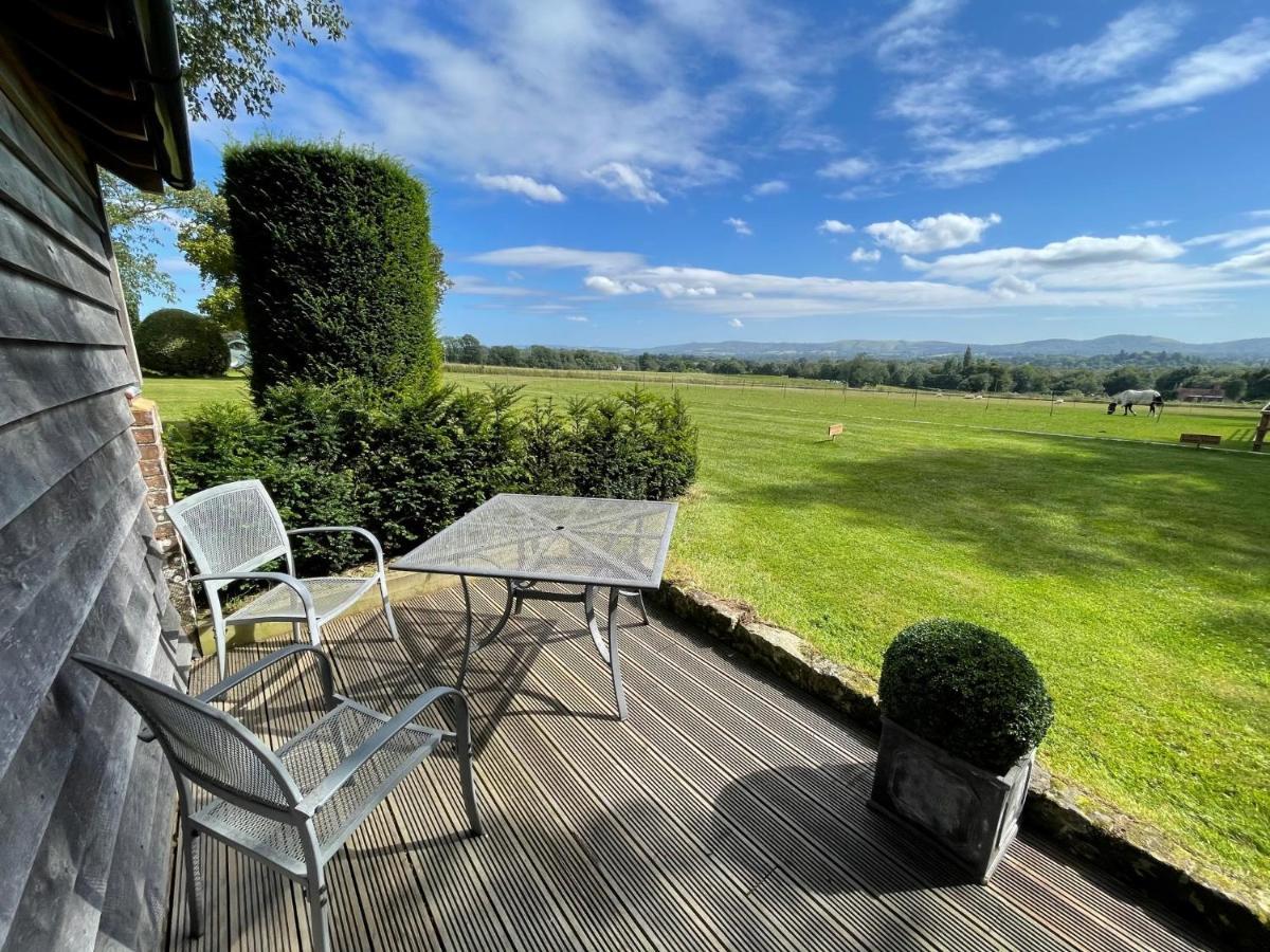Stunning Cabin With Incredible Views Near Goodwood Rogate Exterior photo