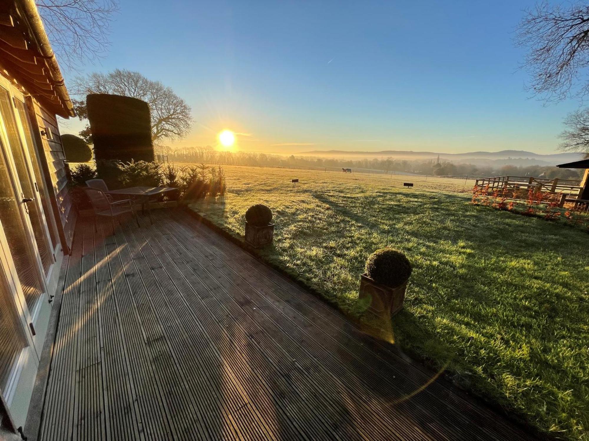 Stunning Cabin With Incredible Views Near Goodwood Rogate Exterior photo