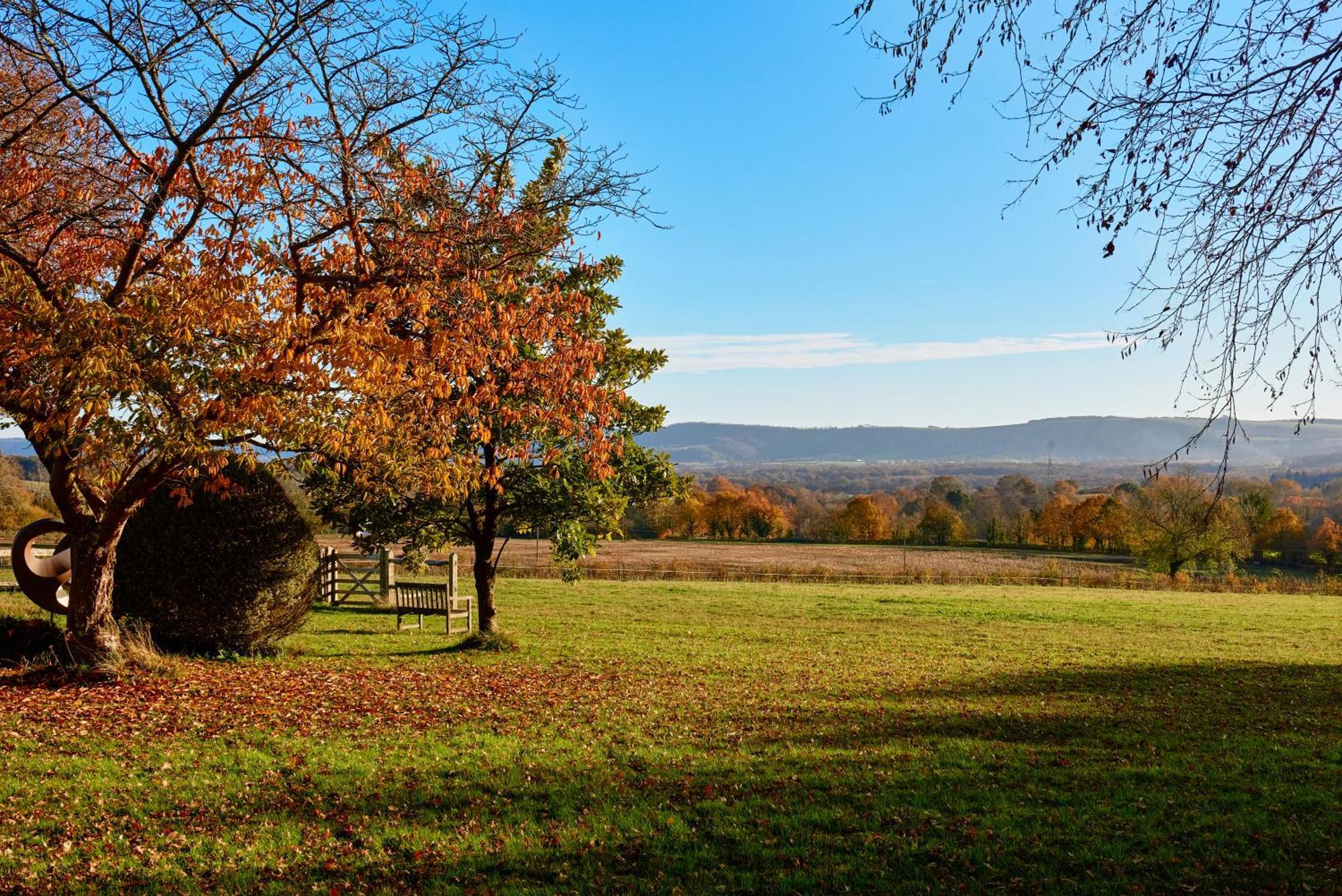 Stunning Cabin With Incredible Views Near Goodwood Rogate Exterior photo